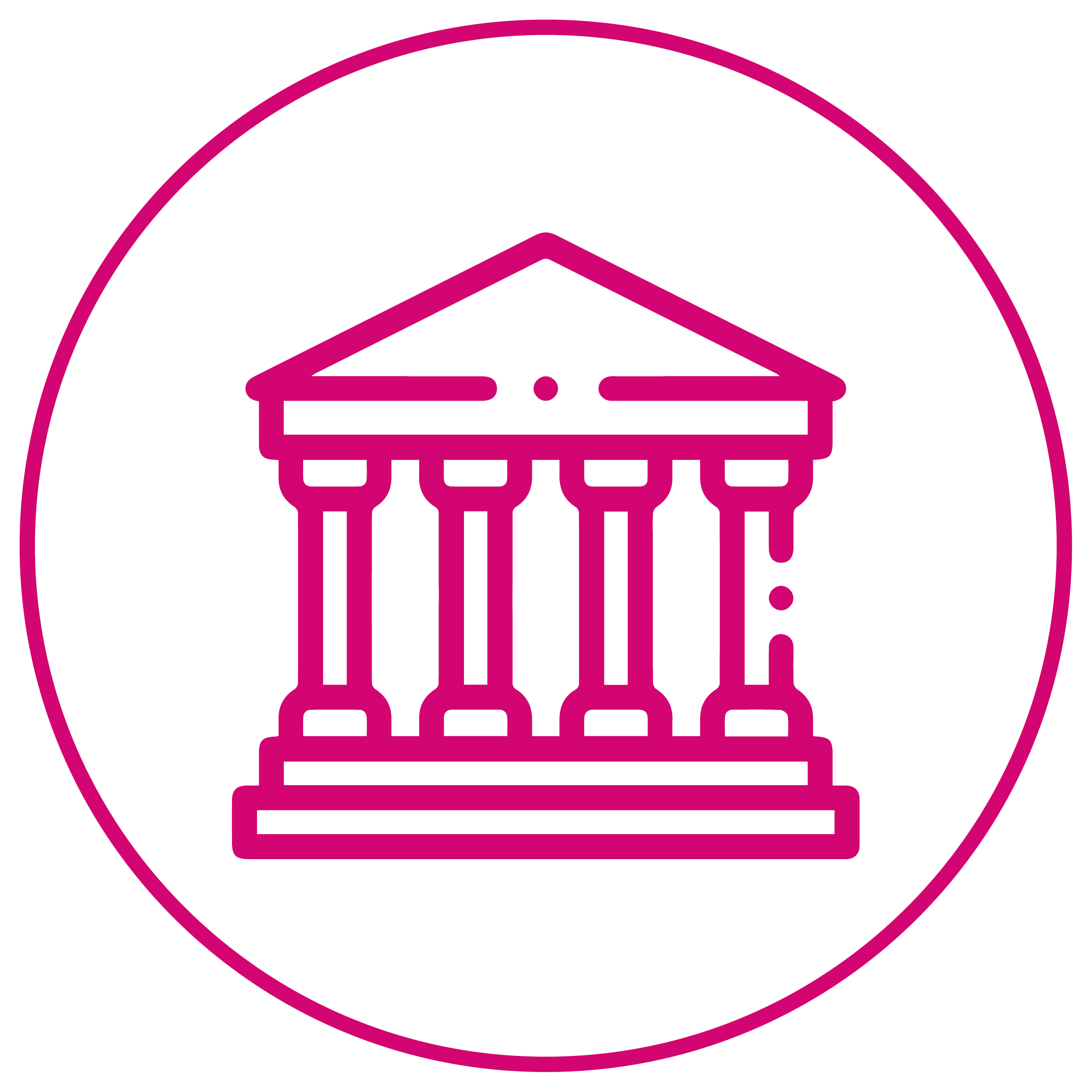 SapinSolutions Icon 004