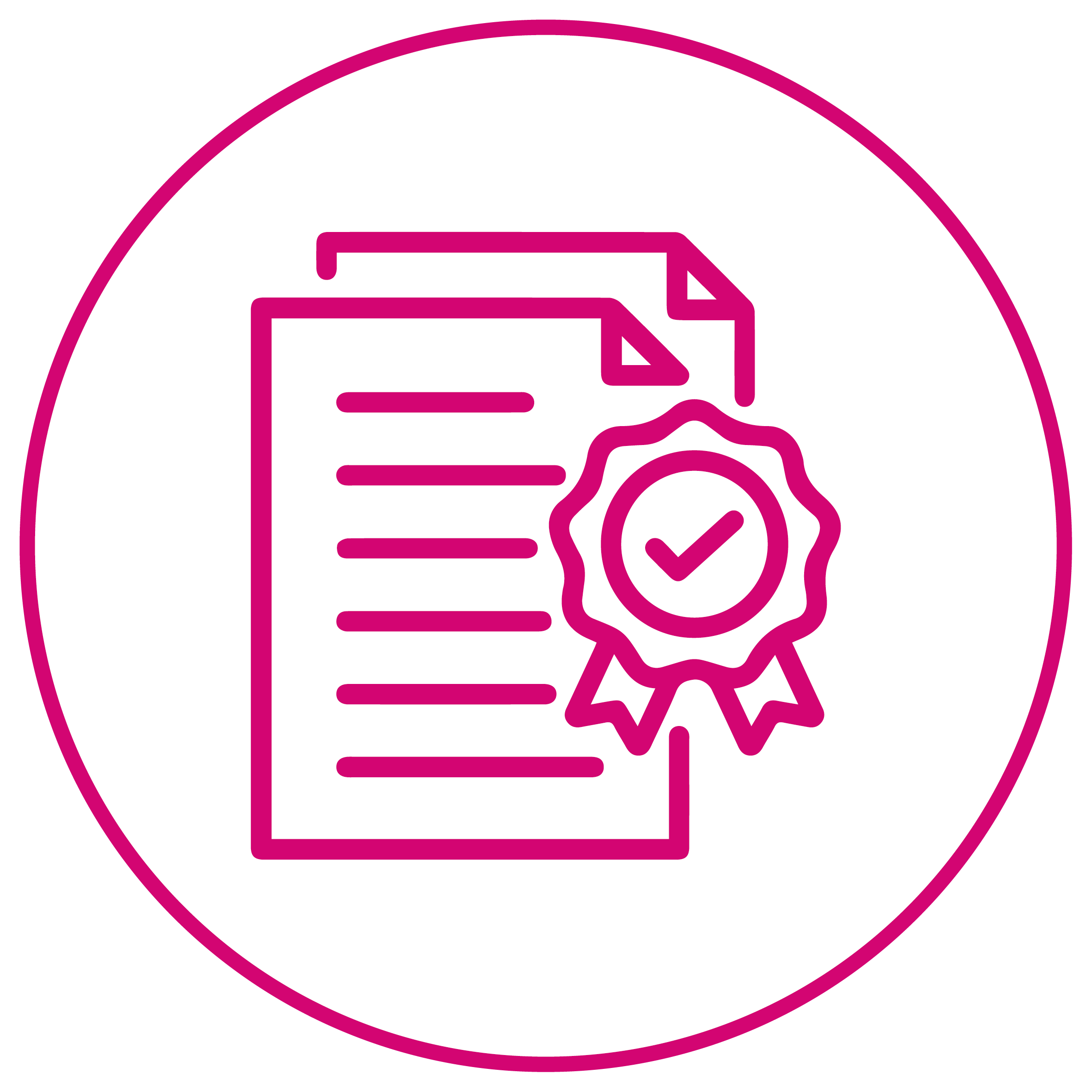 SapinSolutions Icon 006