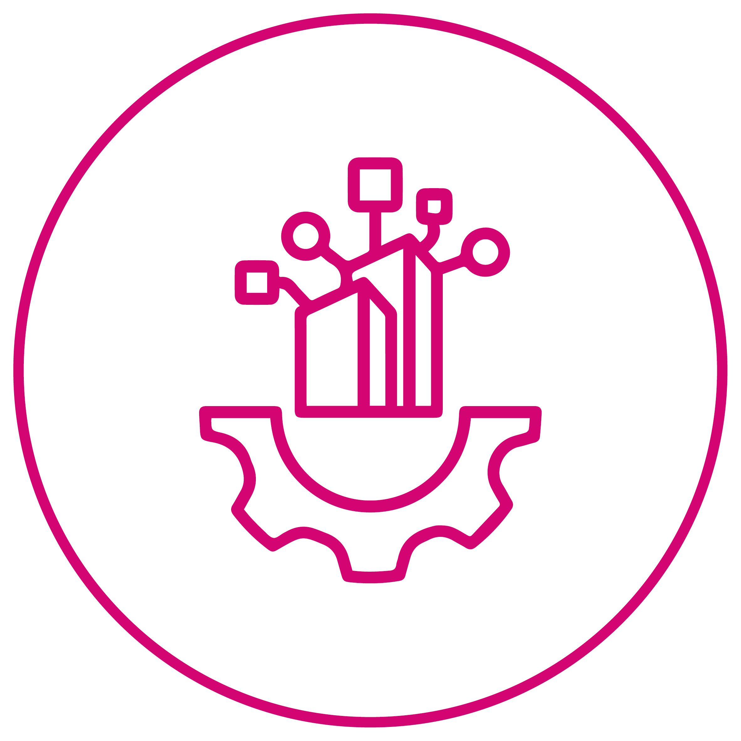 SapinSolutions Icon 011