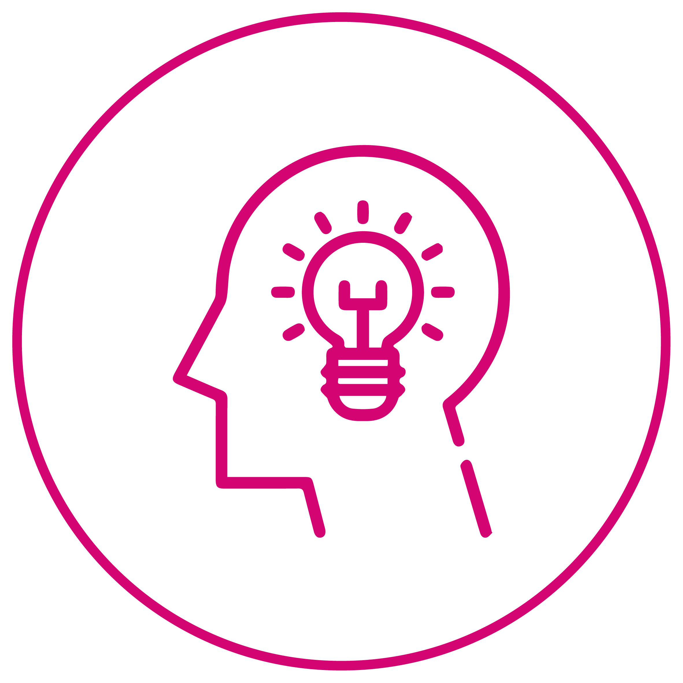 SapinSolutions Icon 013