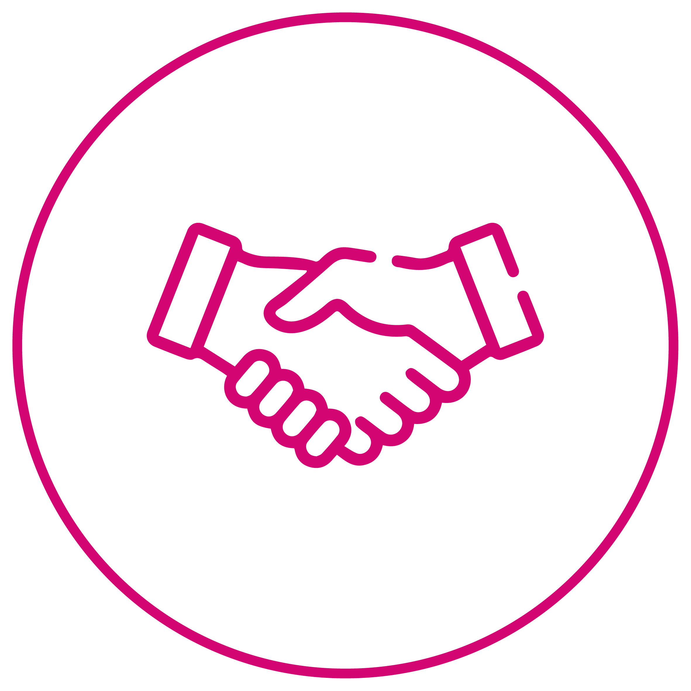 SapinSolutions Icon 014