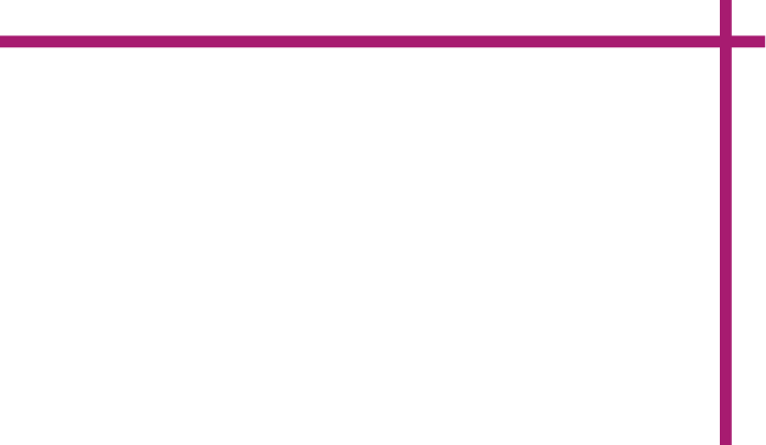 SapinSolutions fond rose