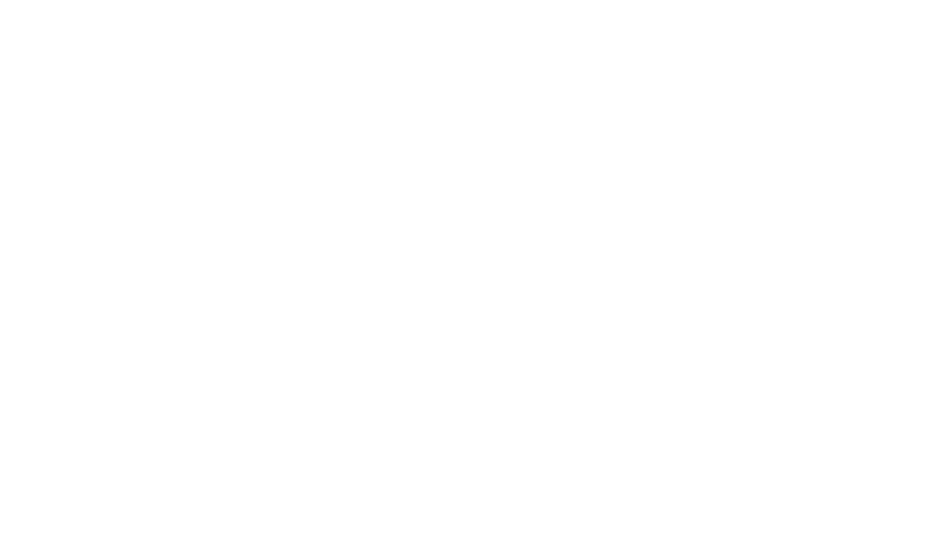 SapinSolutions logo white